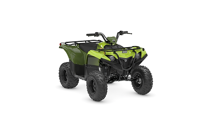 2026 Yamaha GRIZZLY 110