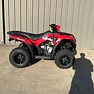 2027 Kawasaki BRUTE FORCE 300 view 2