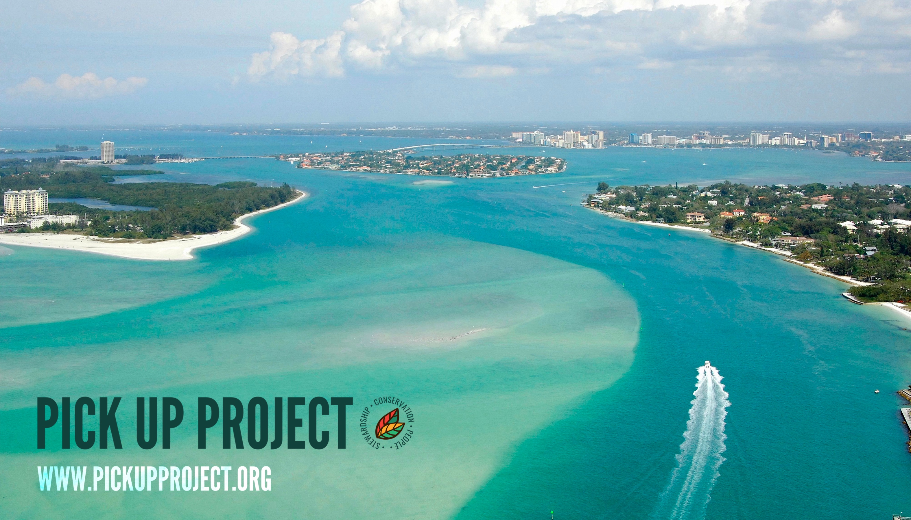 A Stable Community, a Changing Bay: What Ten Years of Sarasota Dolphins Can Teach Us