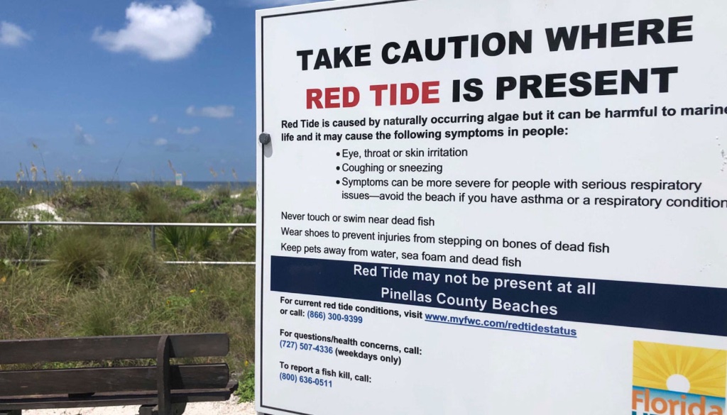 New Florida Research Offers Hope for Earlier Detection of Harmful Algae