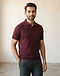 Merino Wool Blend Polo - Wine (Wine), worn or held by model