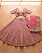 Georgette Embroidered Lehenga (Pink), flat-lay view