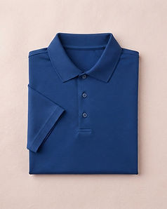 Performance Stretch Polo - Cobalt Blue (Cobalt Blue), product photo