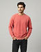 Vintage Wash Sweatshirt (Faded Red), worn or held by model