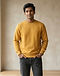 Essential Pullover Crew (Mustard), worn or held by model