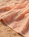 Embroidered Georgette Saree (Peach), detail close-up