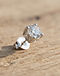 Lewista Stud Earrings (Ivory), detail close-up
