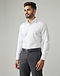 Lewista Formal Belt (Charcoal), worn or held by model