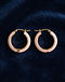 Lewista Hoop Earrings (Blush), flat-lay view