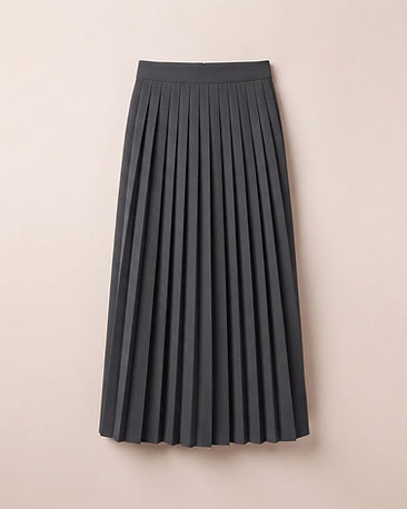 Lewista Pleated Skirt (Charcoal), product photo