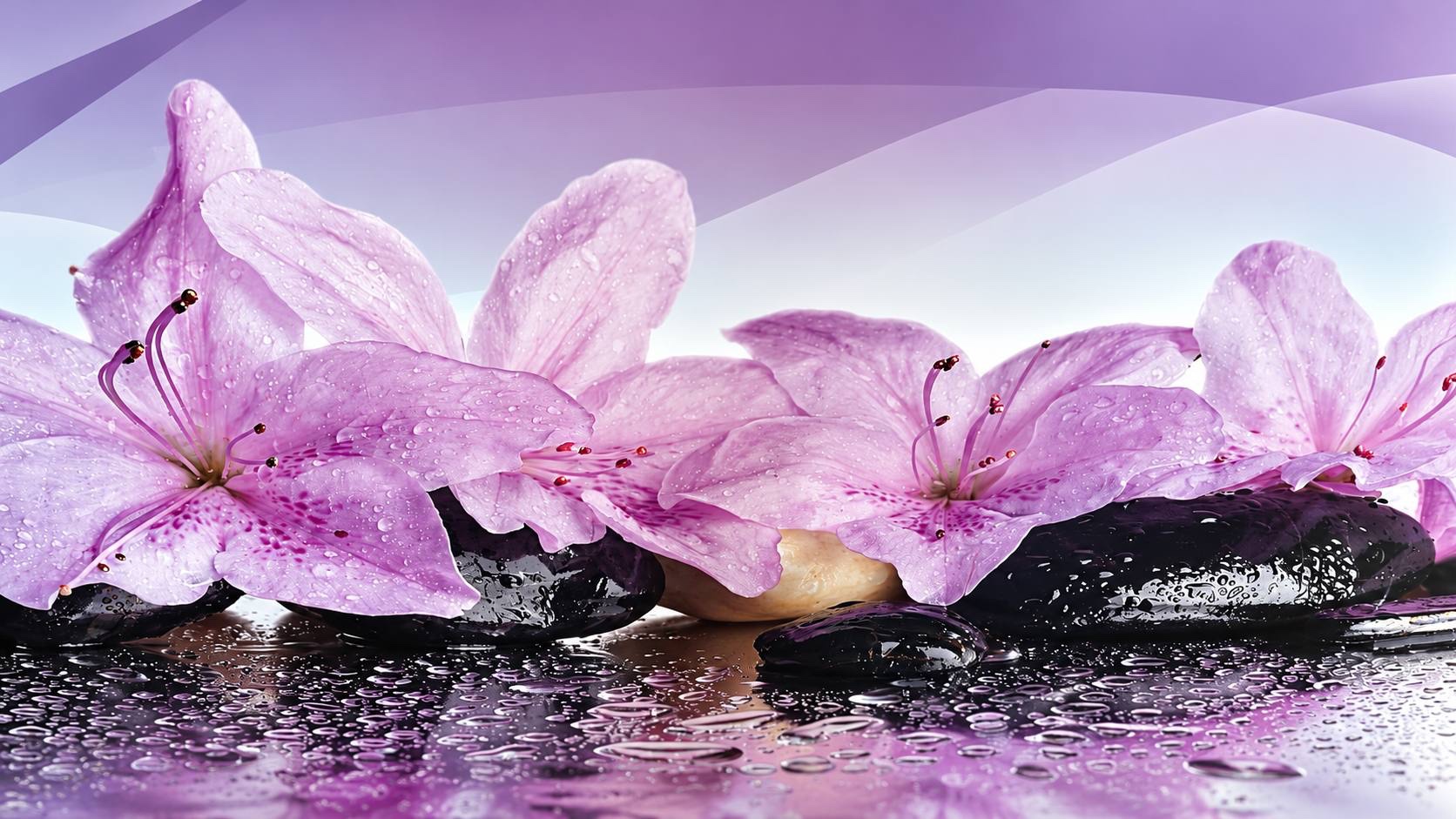 Fiori viola con gocce di rugiada e pietre calde, atmosfera rilassante da centro estetico