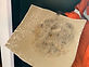Mould-damaged drywall removed during abatement