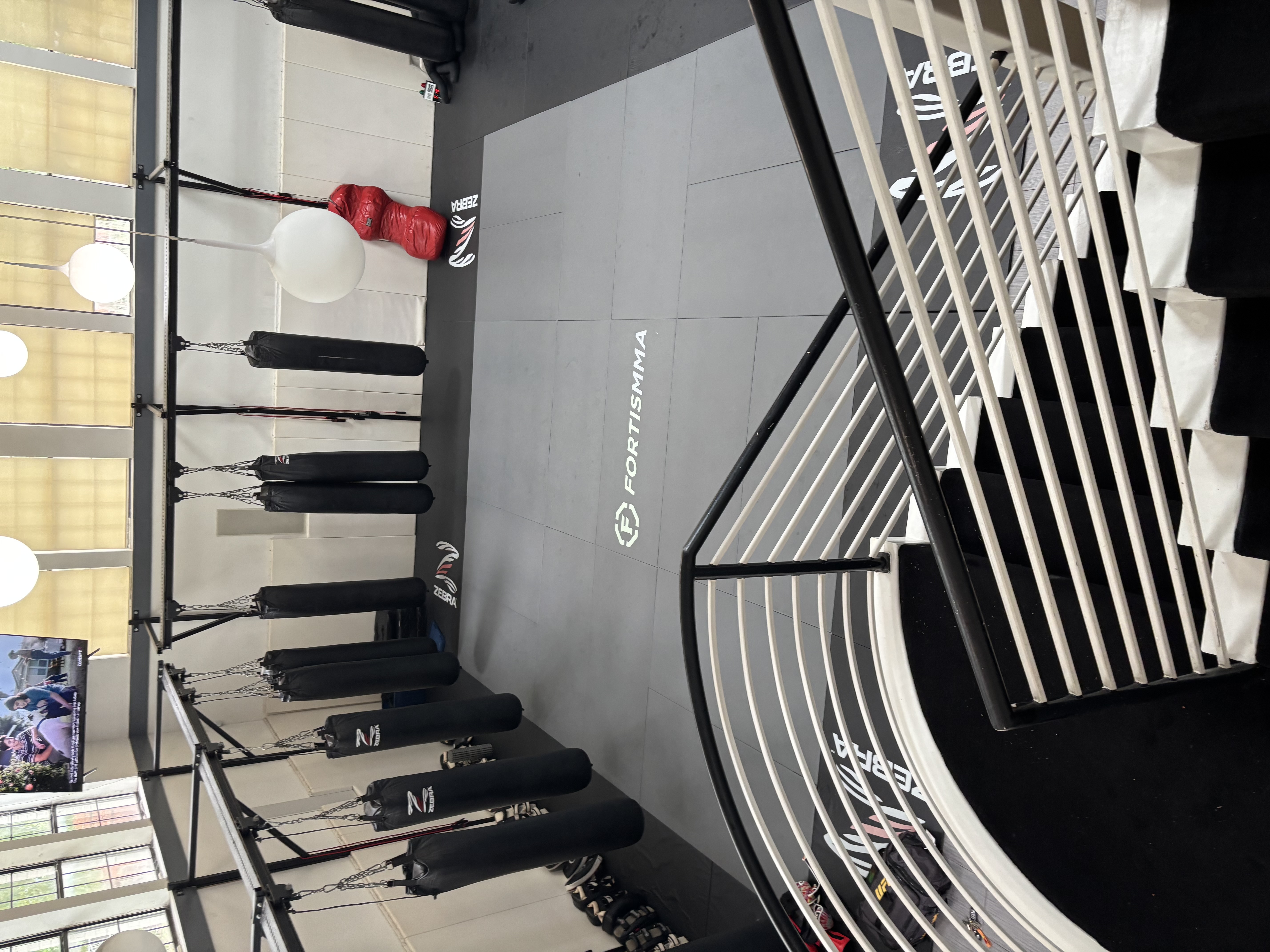 Fortis MMA training