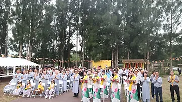 Đại chúng đứng dưới hàng thông cao