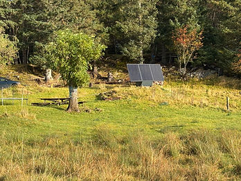 SoWin kraftstasjon på en høsteng med tørt gress og skog i bakgrunnen