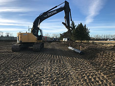 Cattle Feedlot photo 5