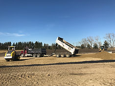 Cattle Feedlot photo 6
