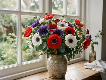 Bunch of red, purple and white anemones with dark centres in a ceramic vase by a window