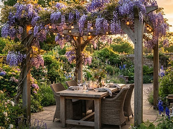 Timber pergola with wisteria and festoon lights over a patio dining table at golden hour