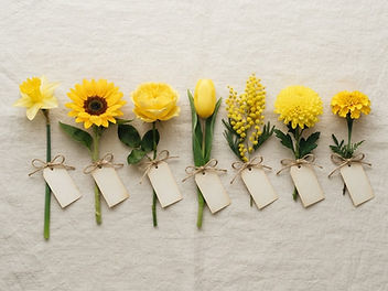 Single yellow flower stems laid in a row on cream linen with blank paper tags: a daffodil, a sunflower, a yellow rose, a yellow tulip, a sprig of mimosa, a yellow chrysanthemum and a marigold