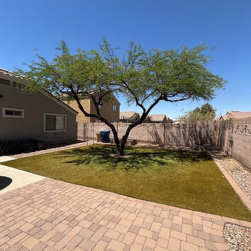 Backyard Turf & Paver Patio