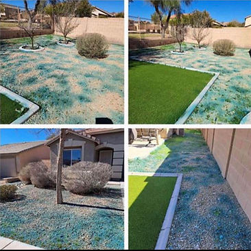Lawn Treatment