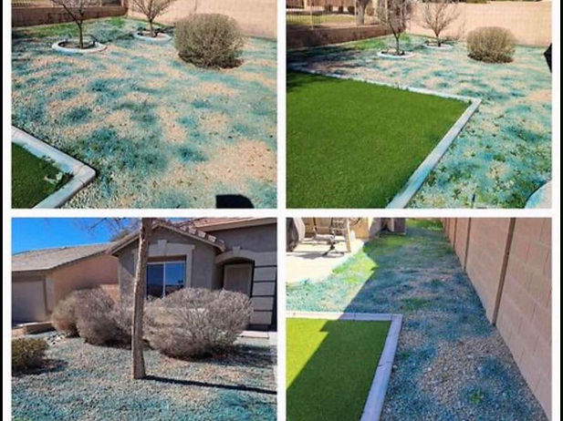Lawn Treatment