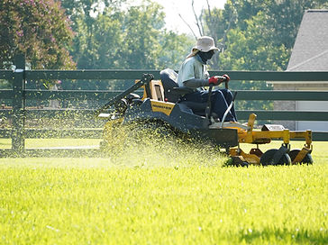 Lawn Care Maintenance