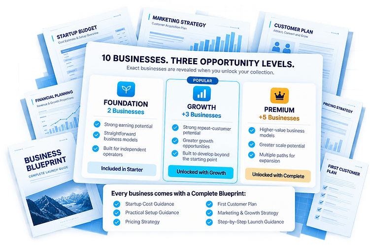 Premium Blueprints: 5 selected businesses, every business with a complete blueprint