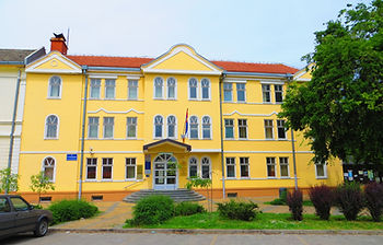 Fußgängerleben und historische Gebäude entlang der Zmaj Jovina Straße in Novi Sad