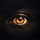I Only Have Eyes For You