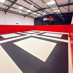 SubZone Fight Academy training image 2