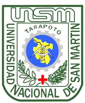 Universidad Nacional de San Martín Universidad Nacional de San Martín