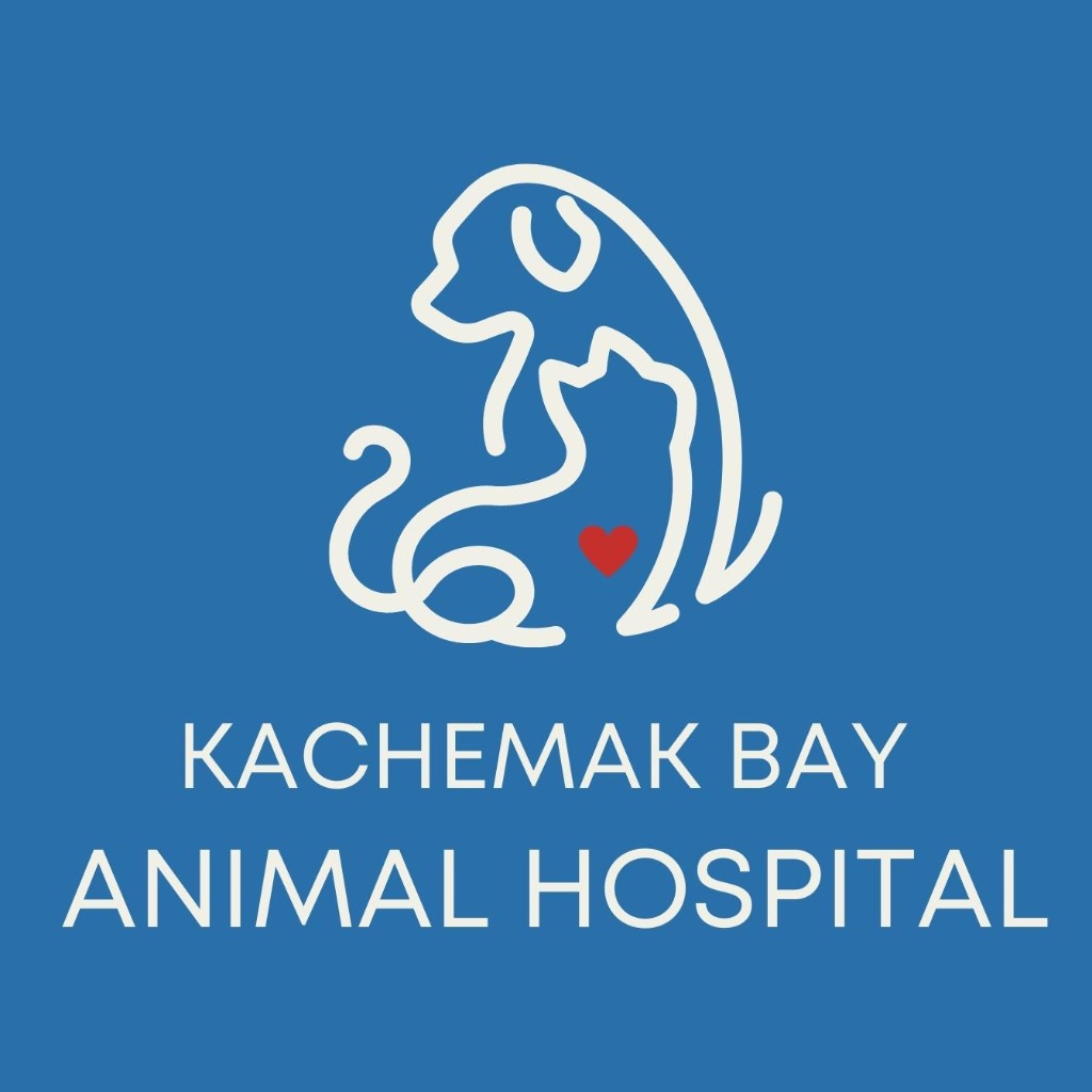Kachemak Bay Animal Hospital