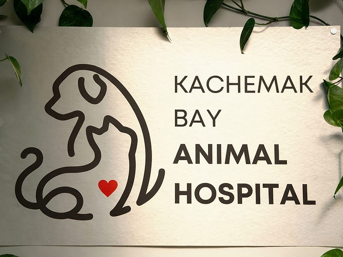 Kachemak Bay Animal Hospital sign on the clinic wall, framed by plants