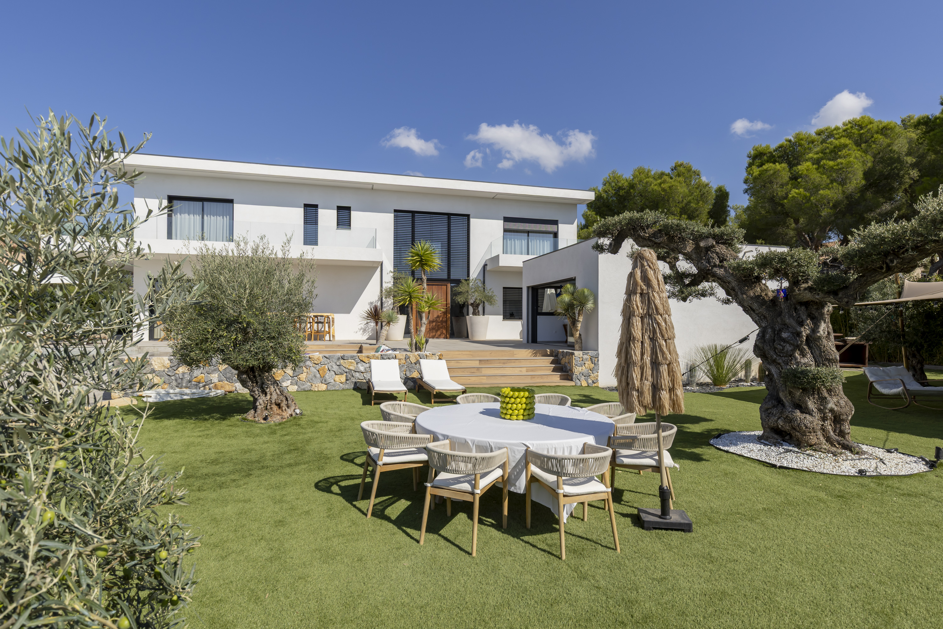 Lunch under the olive trees