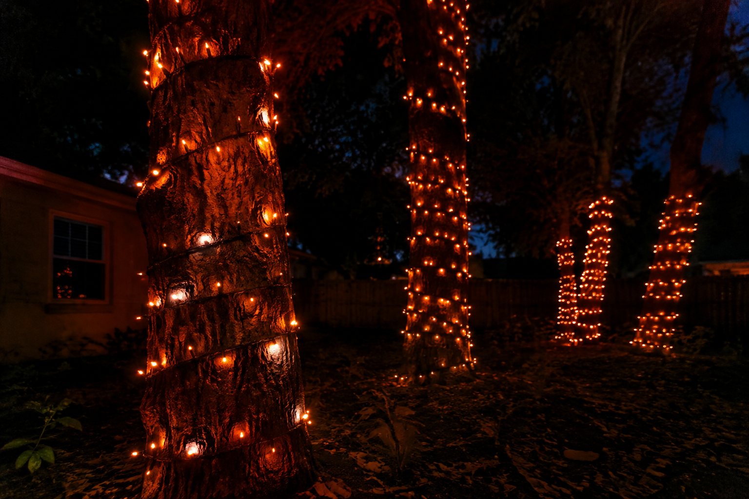 48. Orange String Light Trees - backyard Halloween party idea