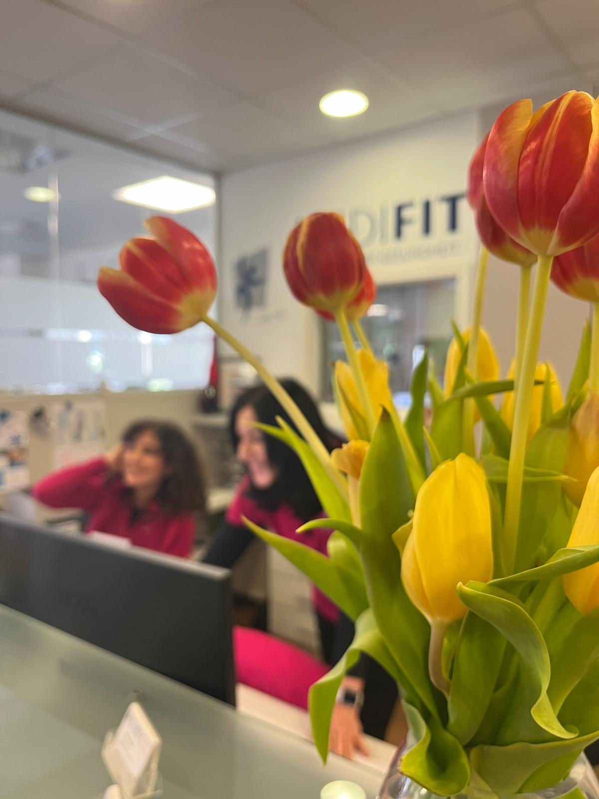 Physiotherapie Behandlung bei MEDIFIT