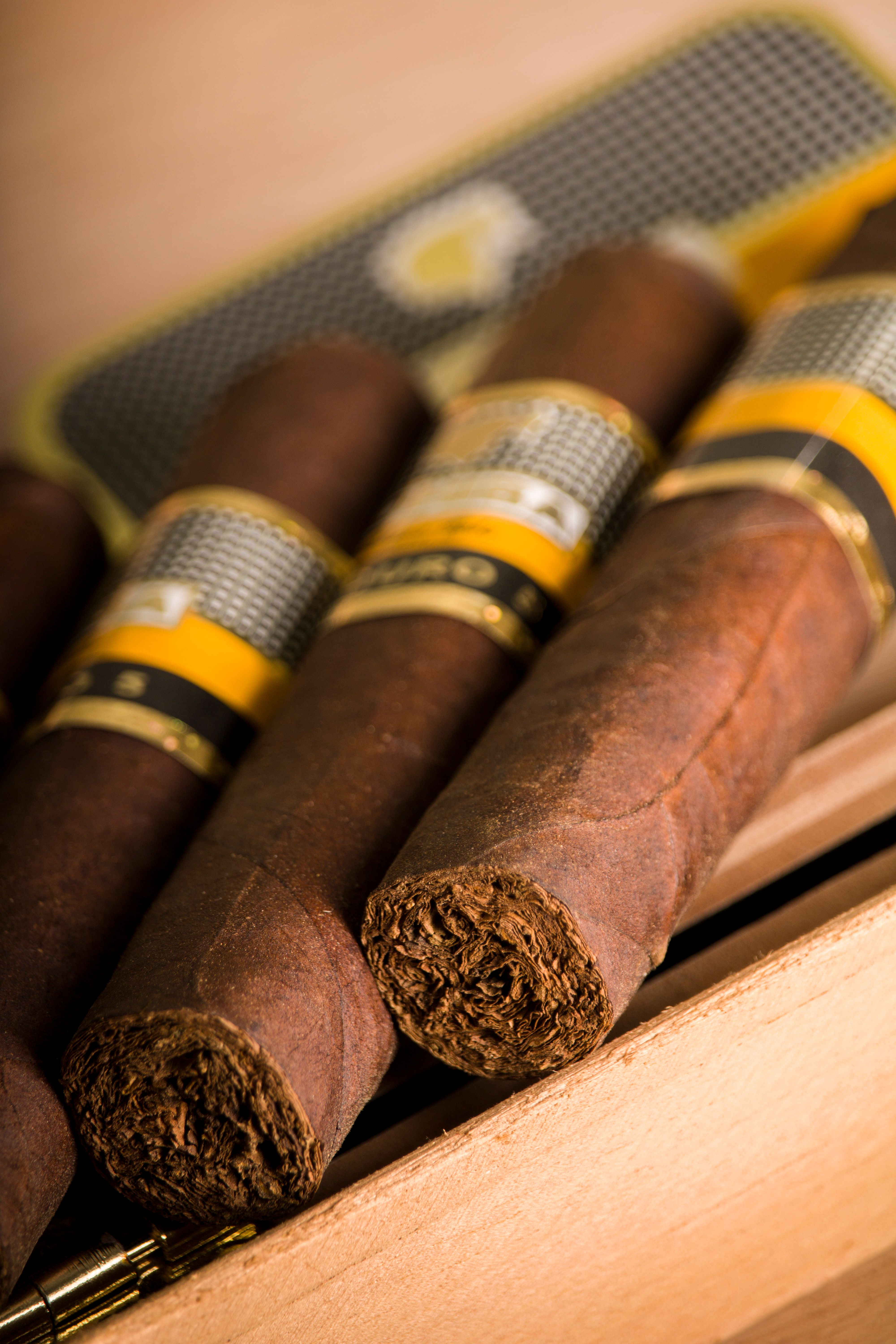 Three premium cigars with yellow-and-black bands resting in a wooden tray