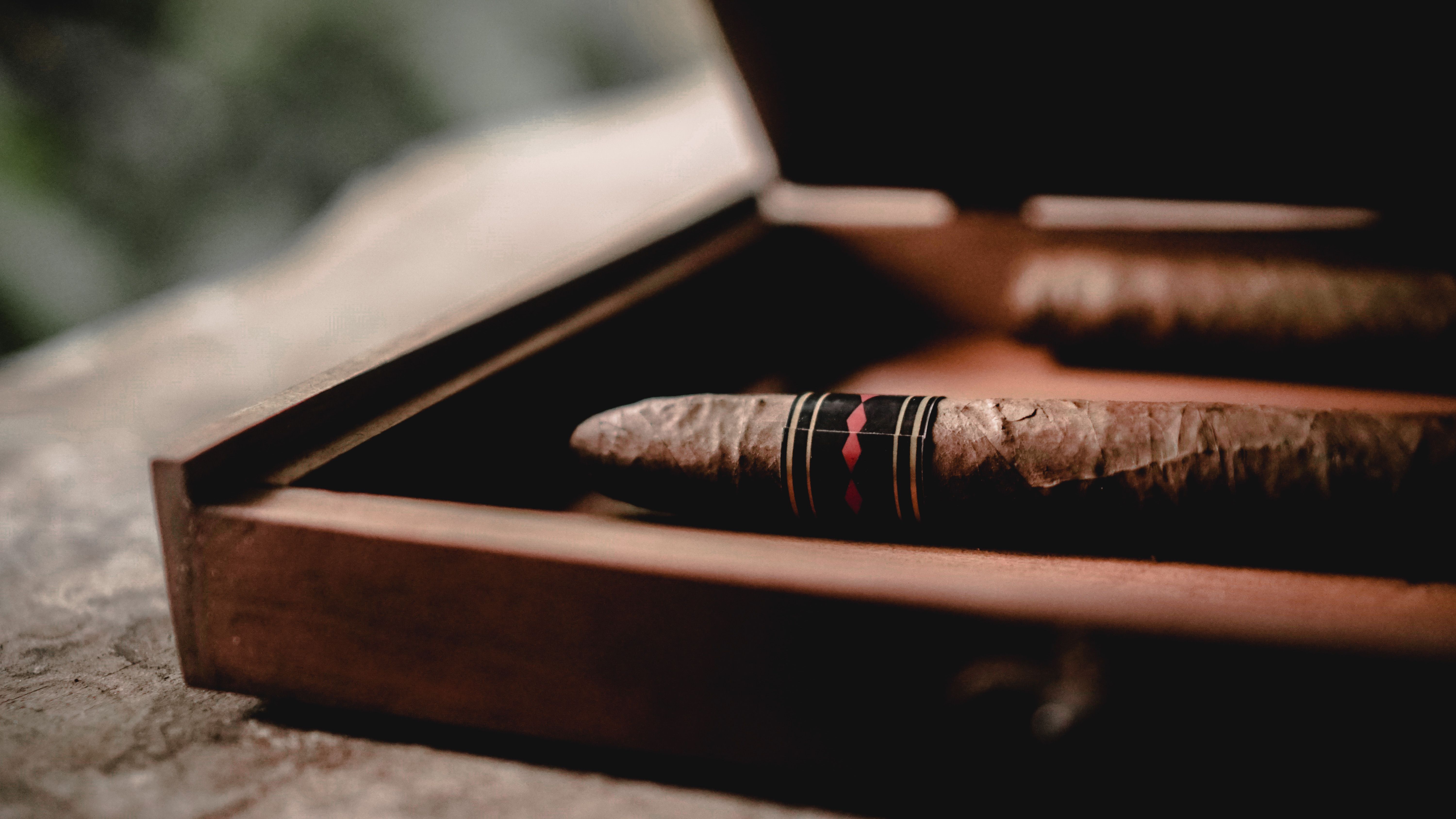 A single cigar resting in the Spanish cedar lining of an open wooden humidor