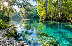 The Freshwater Springs, Central Florida; AI-generated editorial illustration