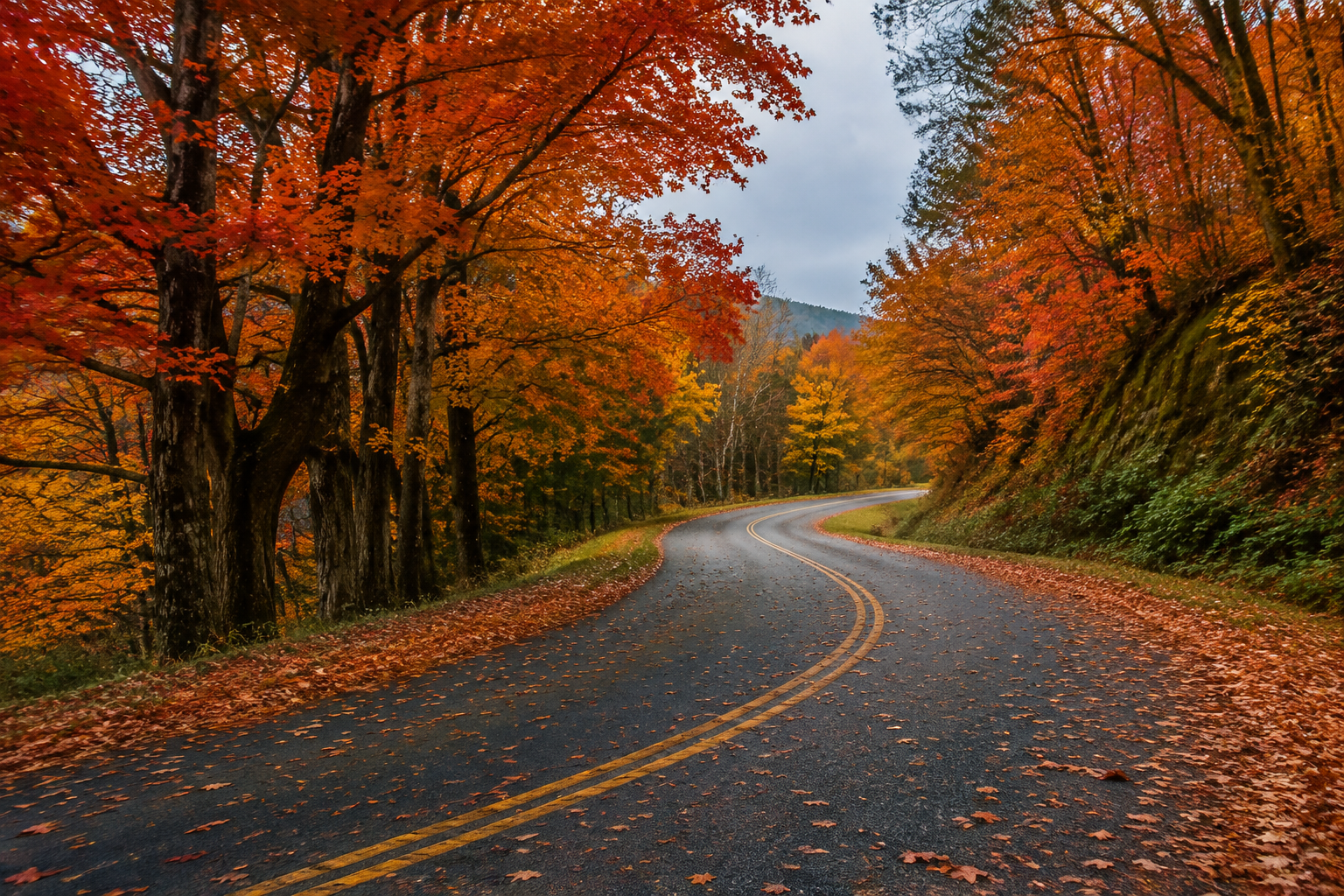 Country road tunneled by brilliant orange maple trees with leaves on the asphalt