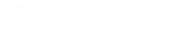 BlueSky Marketing STL