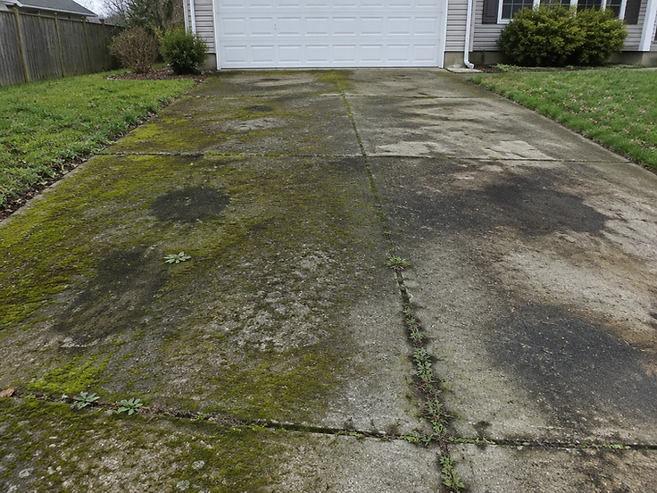 Driveway Restoration — before cleaning, covered in grime and moss