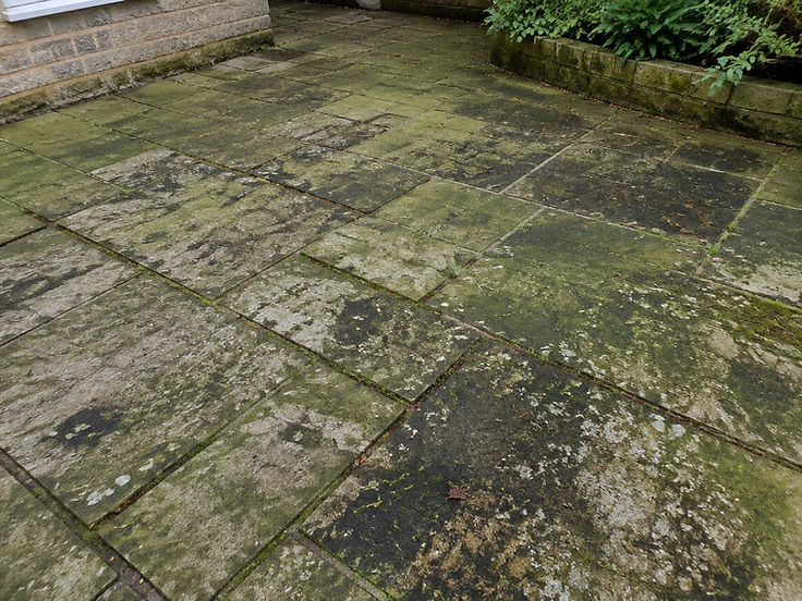 Patio Revival — before cleaning, covered in grime and moss
