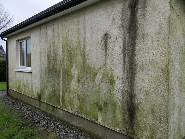 Facade Clean — before cleaning, covered in grime and moss