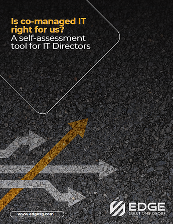 Co-Managed IT Self-Assessment Tool preview
