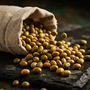 Non-GMO Soya Beans