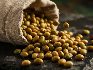 Non-GMO Soya Beans — Glycine max sourced for export by FDM Freeworld Marketing