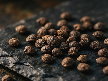 Griffonia Seeds — Griffonia simplicifolia sourced for export by FDM Freeworld Marketing